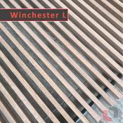 winchester light 2